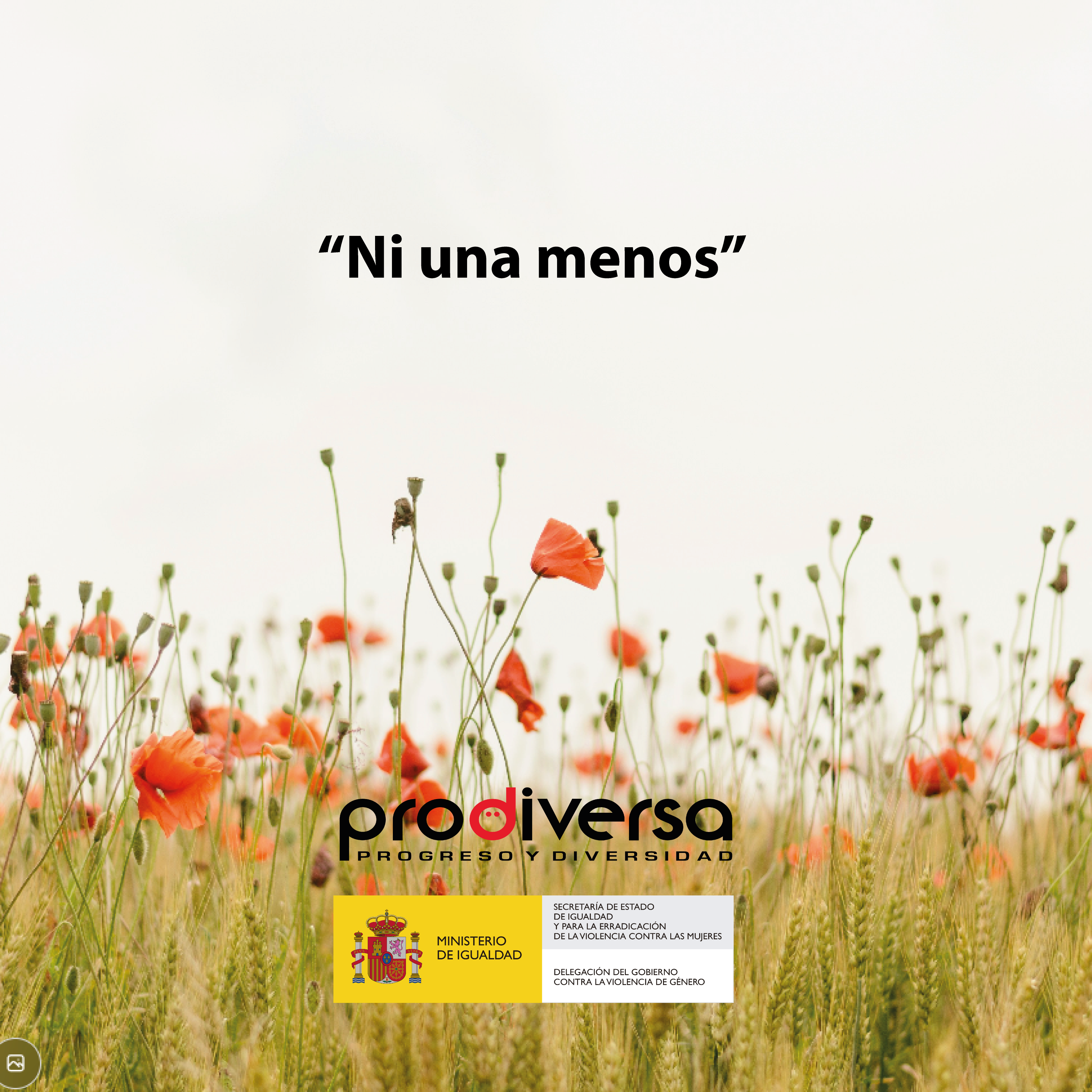 Portada del recurso Ni Una Menos
